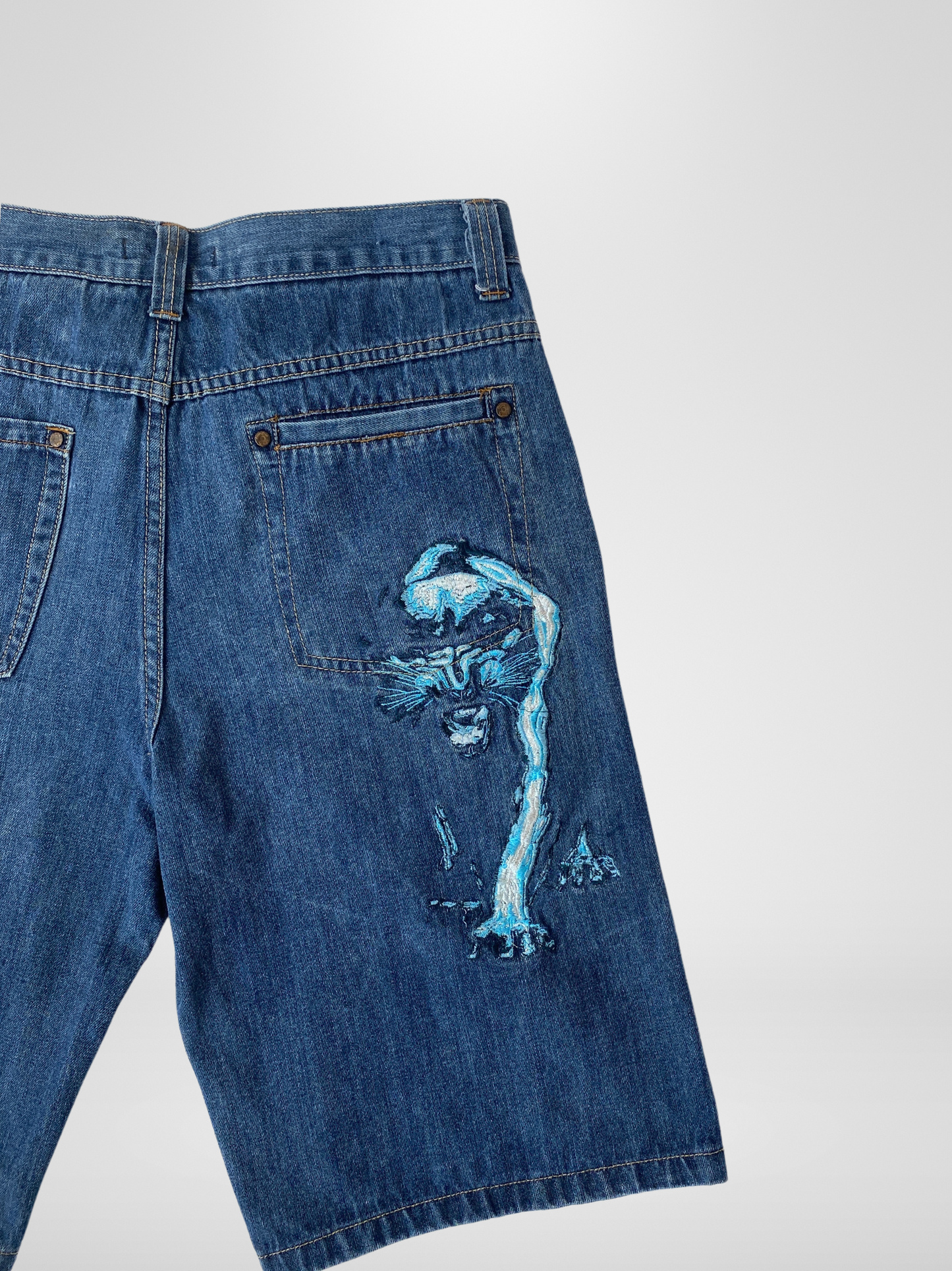 بنطال رجالي مطرز من Paco Jeans Streetgear Y2K
