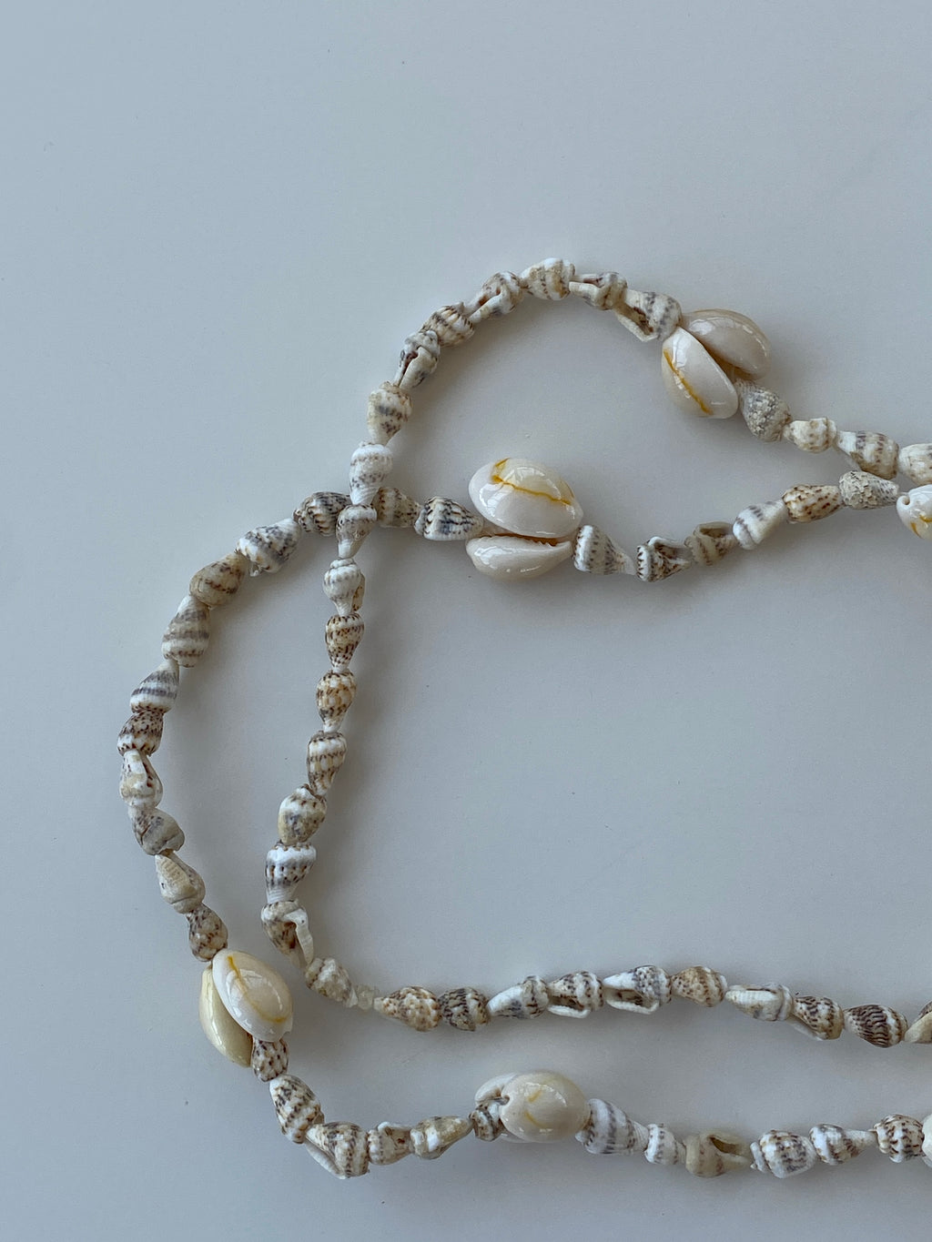 Natural Shell Beach Costal Ivory Nautical Cowrie Conch Nautilus Shells Necklace