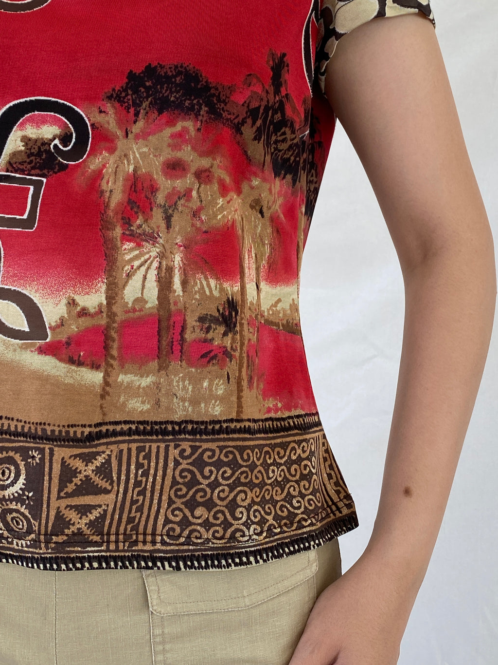 Vintage 90s Alma Ducal Graphic Red Semi Sheer Desert Print Mesh Top - XL