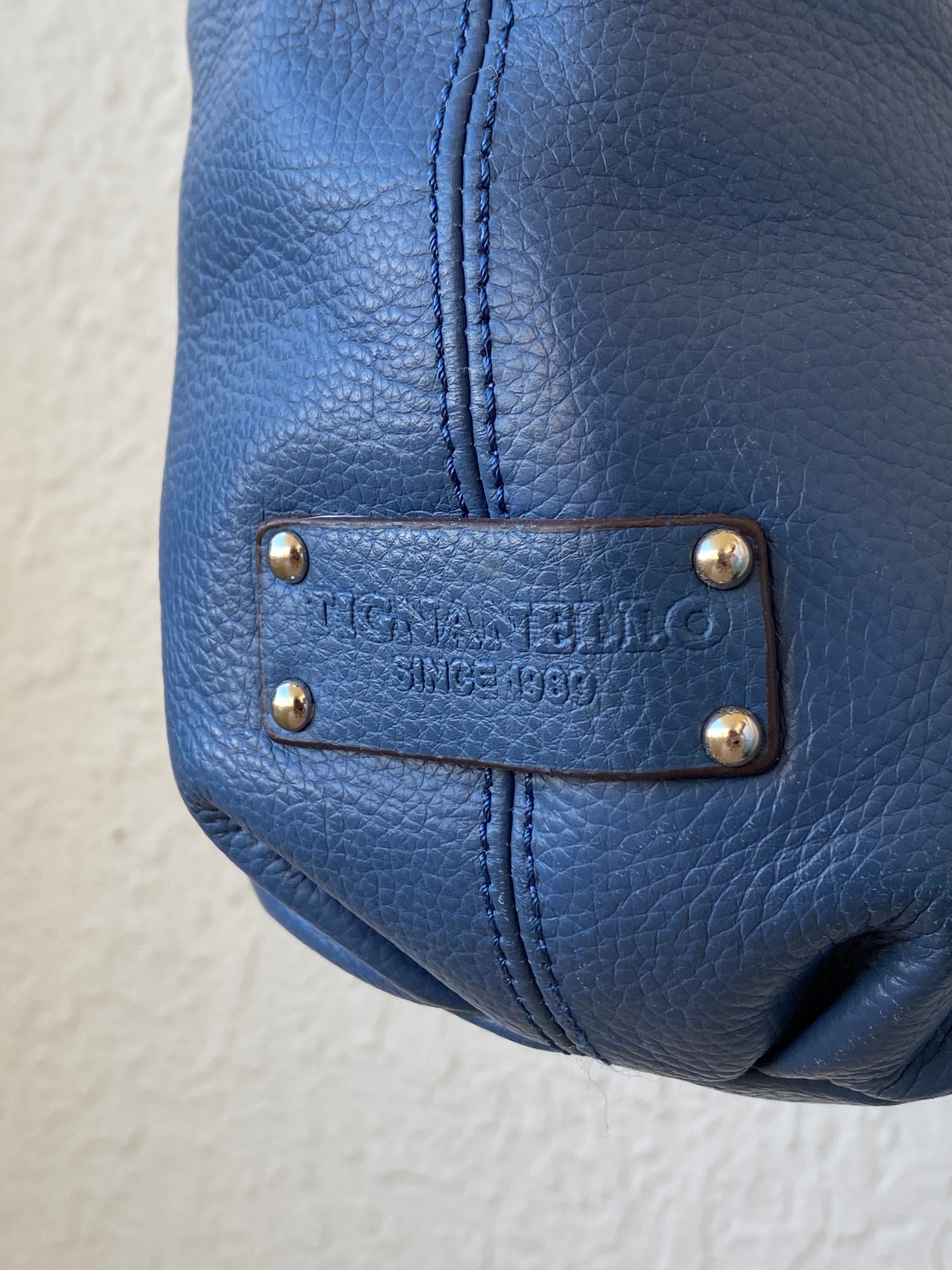 Vintage Tignanello Blue Purse Genuine Leather Hobo Shoulder Bag
