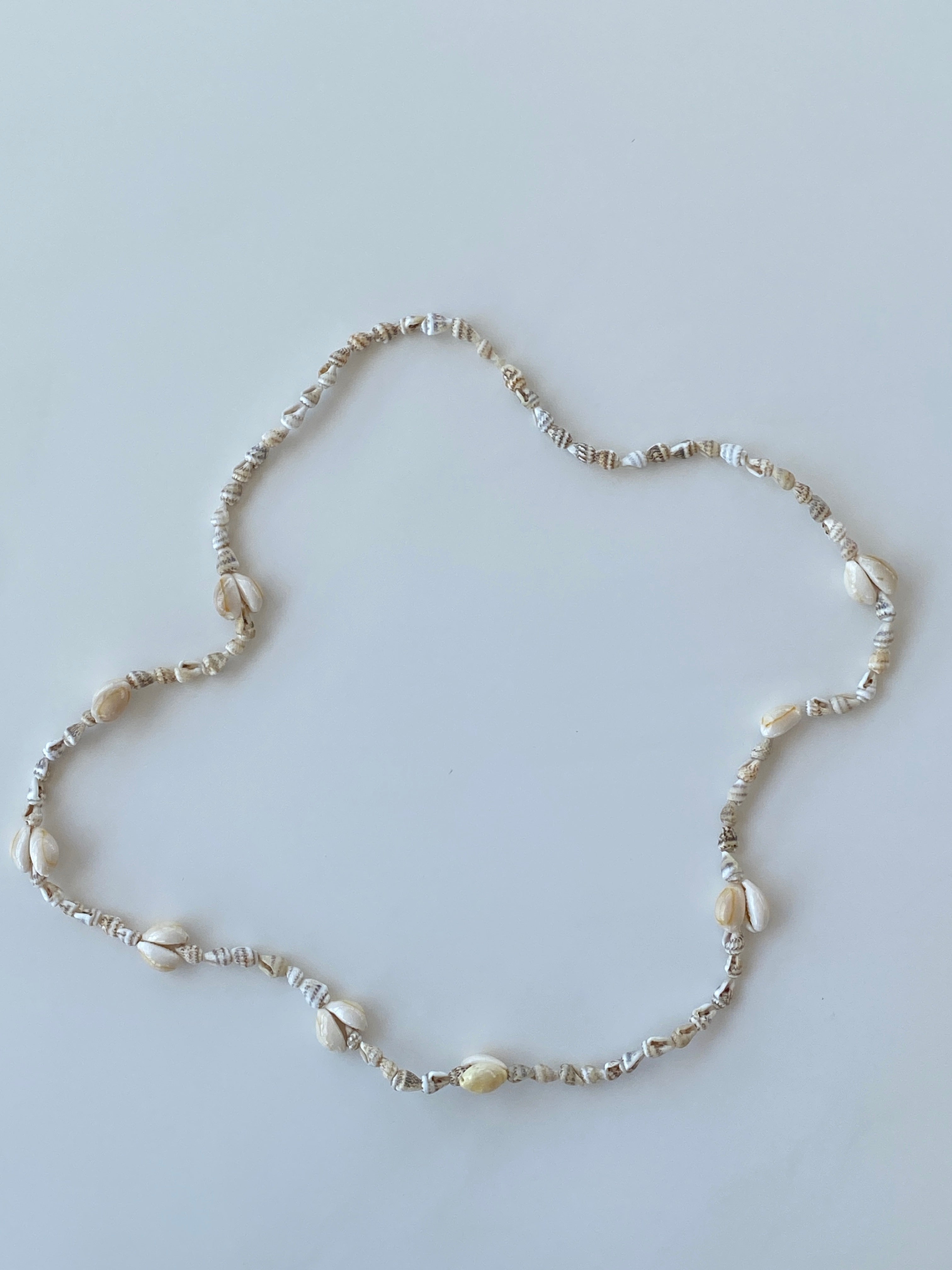 Natural Shell Beach Costal Ivory Nautical Cowrie Conch Nautilus Shells Necklace
