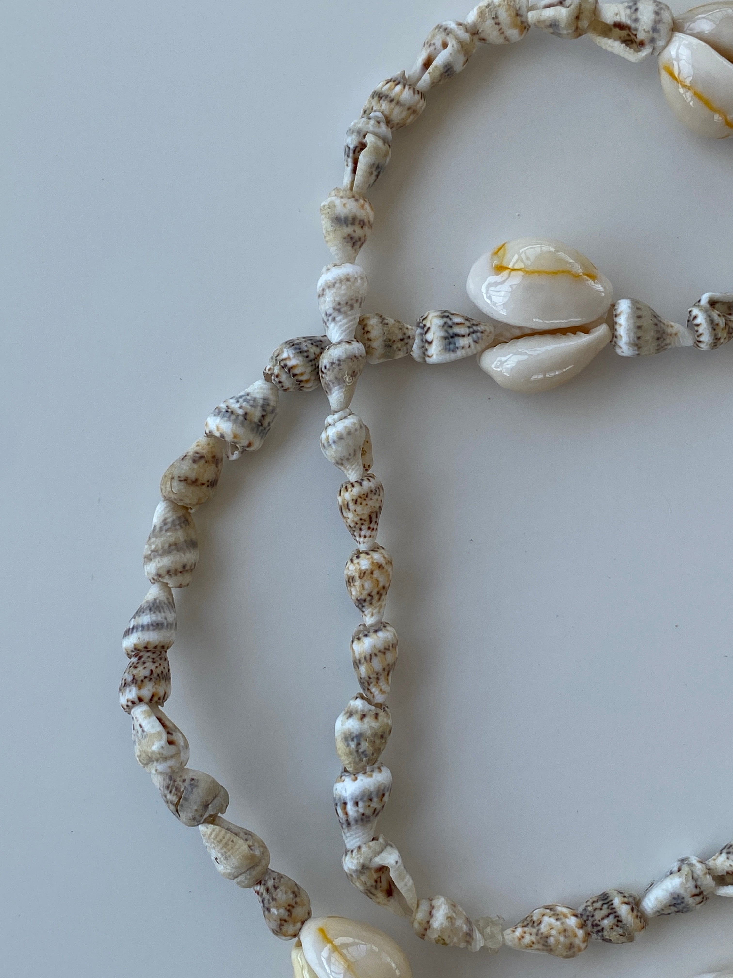 Natural Shell Beach Costal Ivory Nautical Cowrie Conch Nautilus Shells Necklace