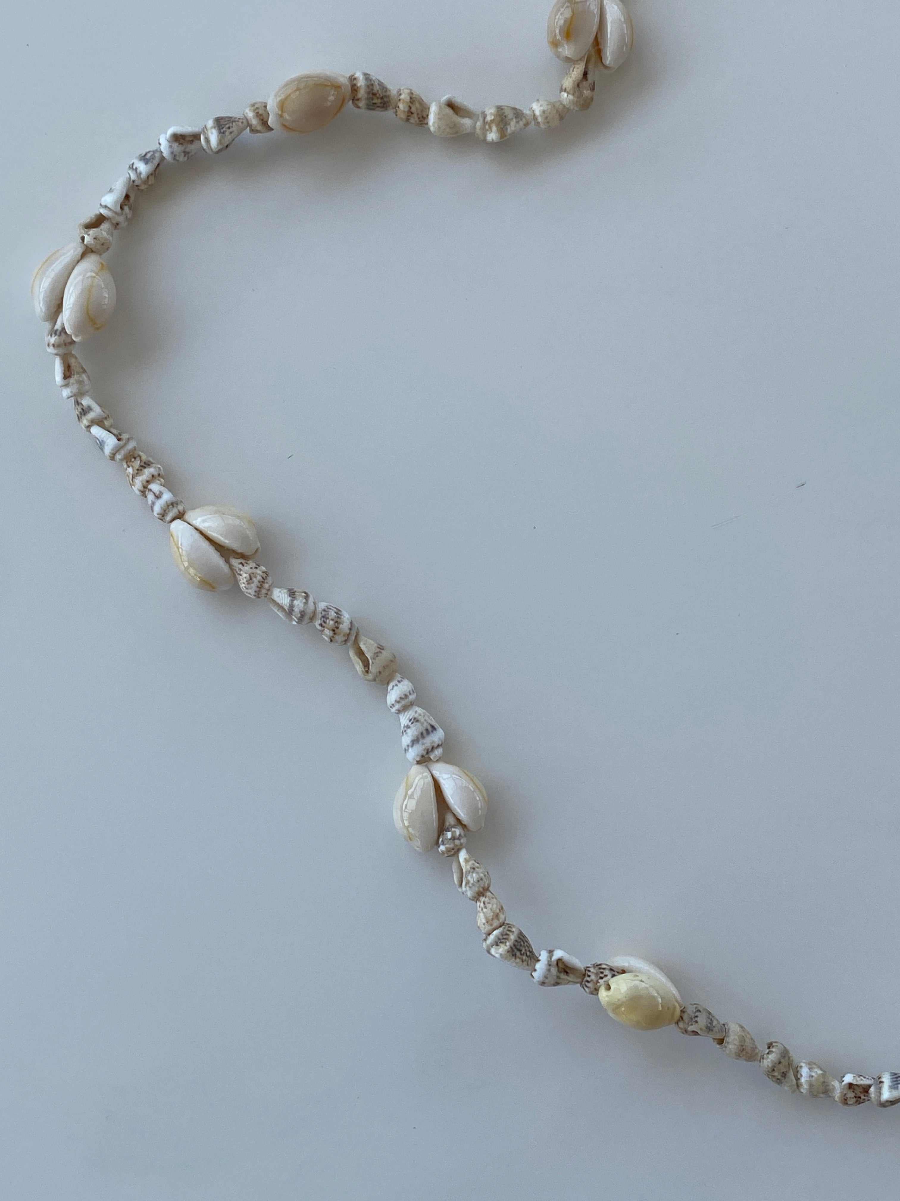 Natural Shell Beach Costal Ivory Nautical Cowrie Conch Nautilus Shells Necklace