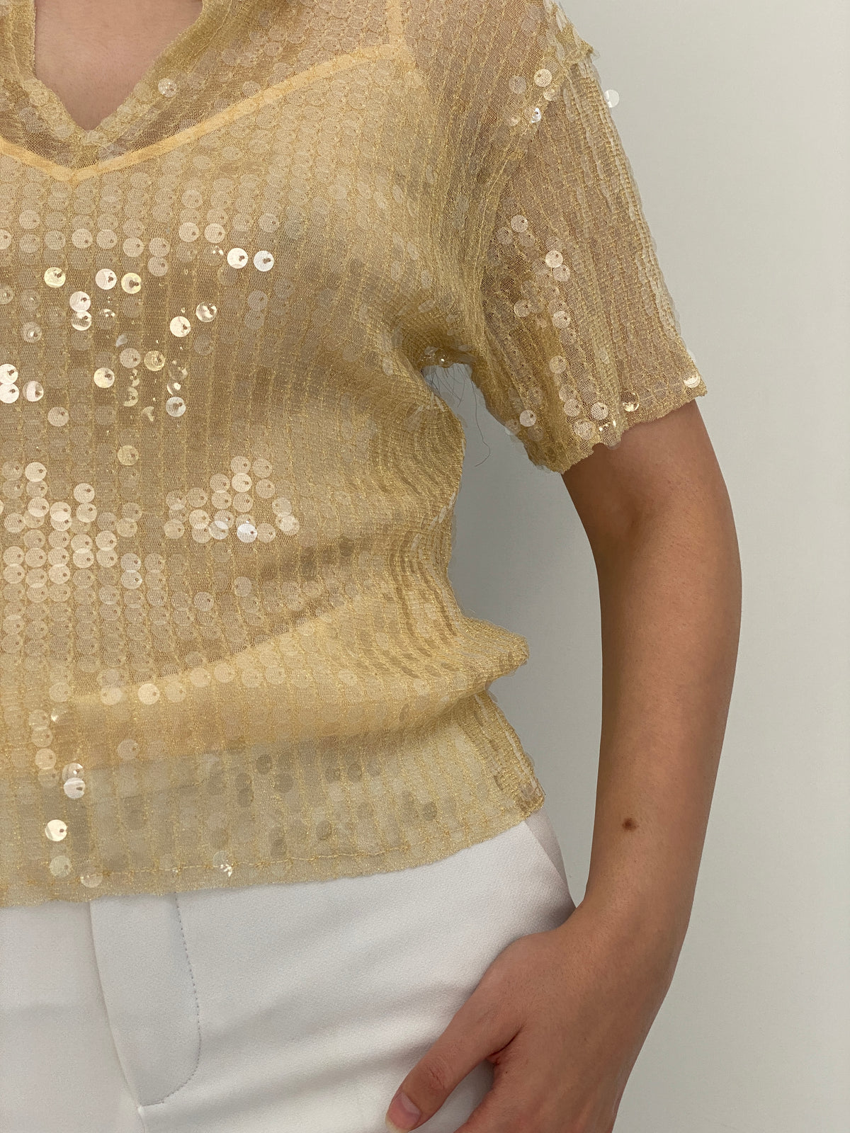Y2K Zara Champagne Gold Sheer Mesh Sequin Collared Top - S