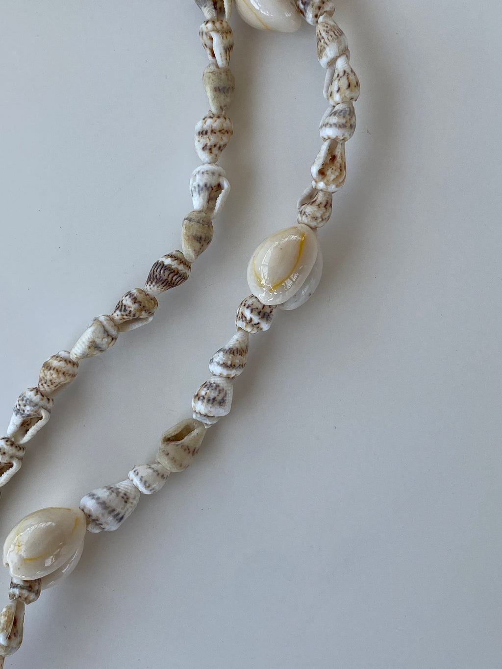 Natural Shell Beach Costal Ivory Nautical Cowrie Conch Nautilus Shells Necklace