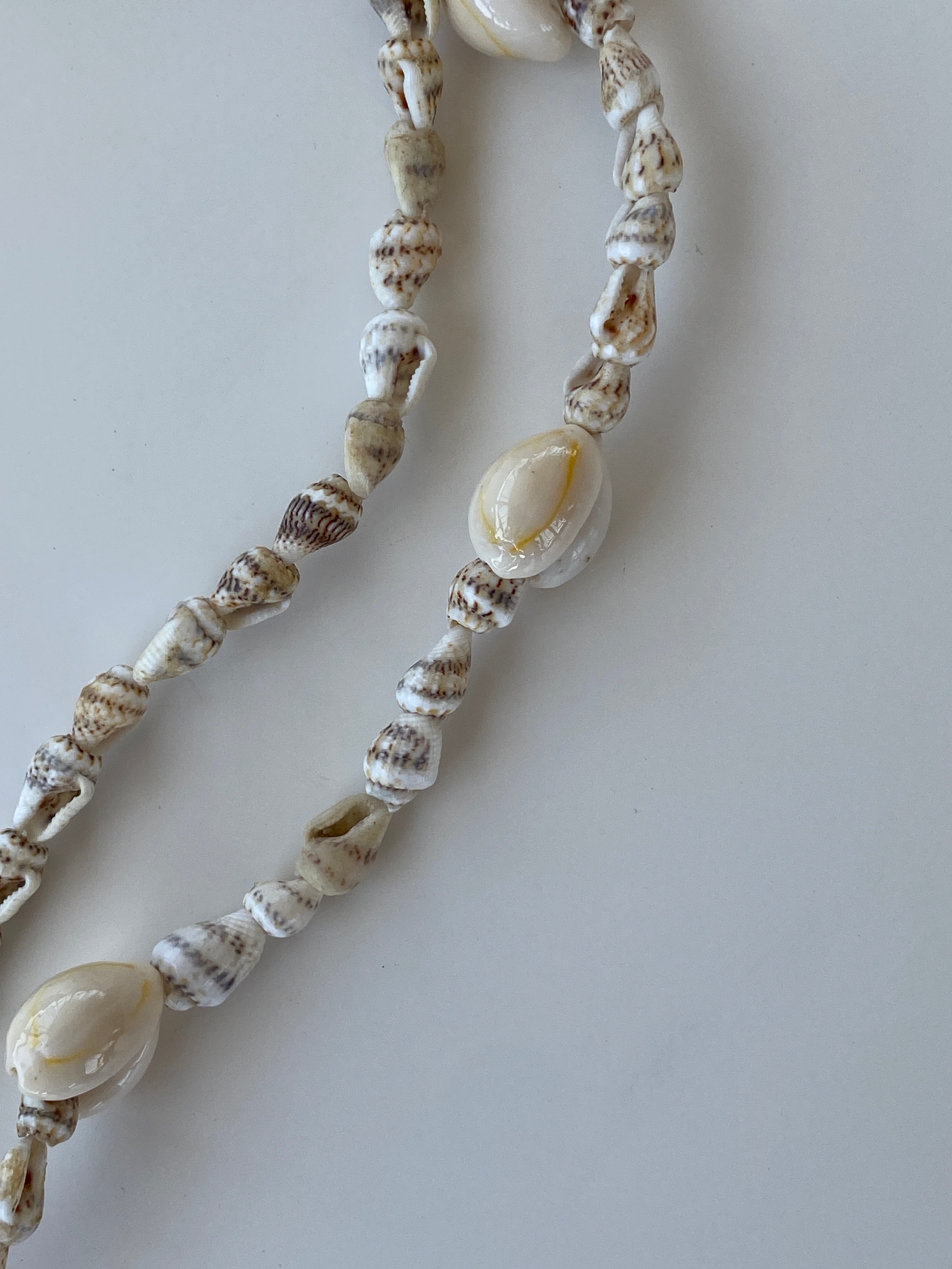 Natural Shell Beach Costal Ivory Nautical Cowrie Conch Nautilus Shells Necklace