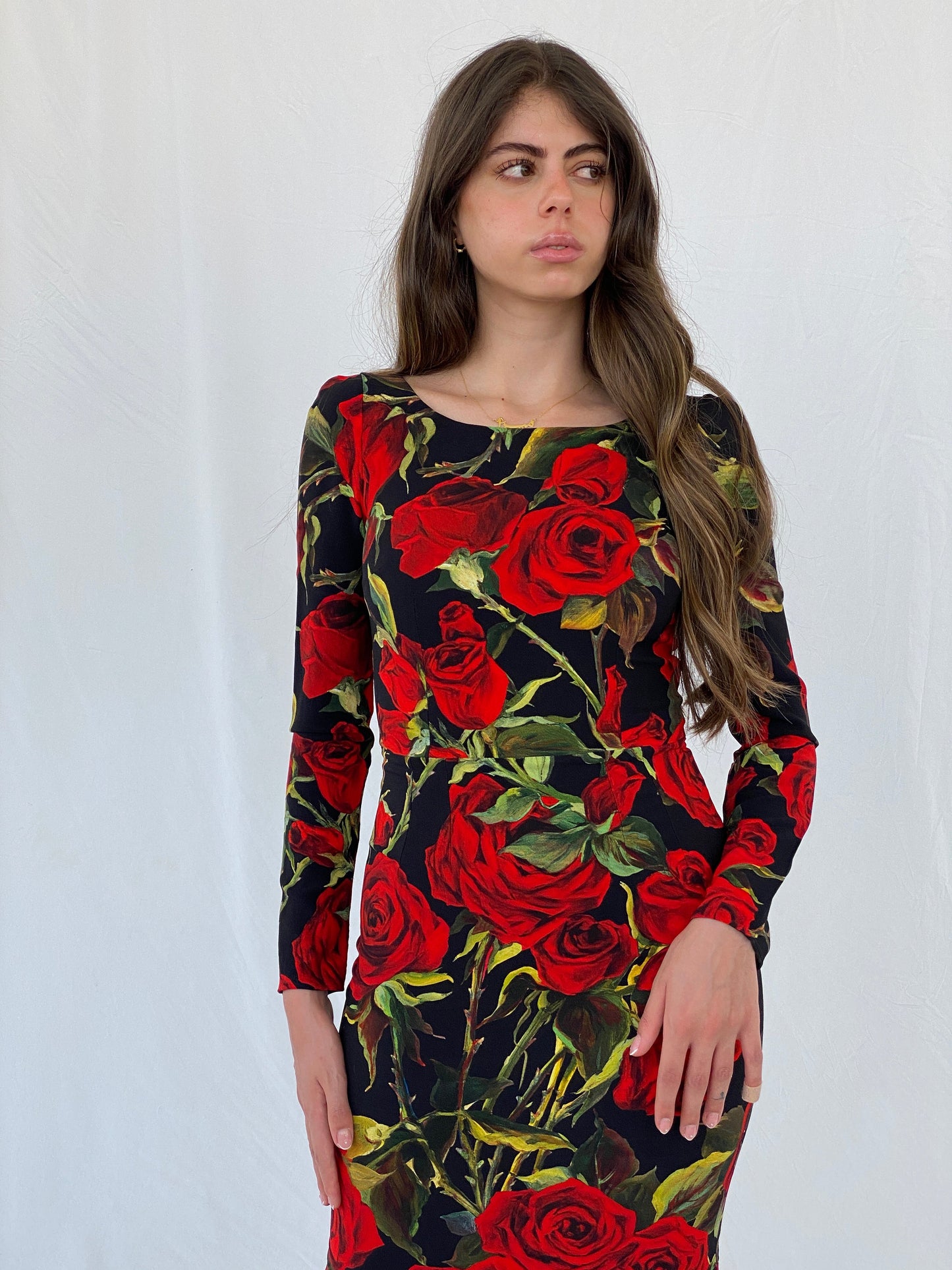 Dolce & Gabbana Red Roses Print Silk Knee-Length Dress - S